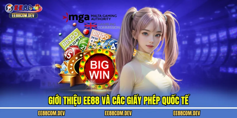 Giới thiệu EE88 và các giấy phép quốc tế