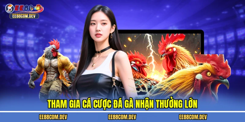 Tham gia cá cược đá gà nhận thưởng lớn